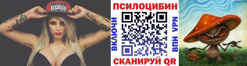 где купить наркоту Большой Камень Псилоцибиновые грибы прущие грибы