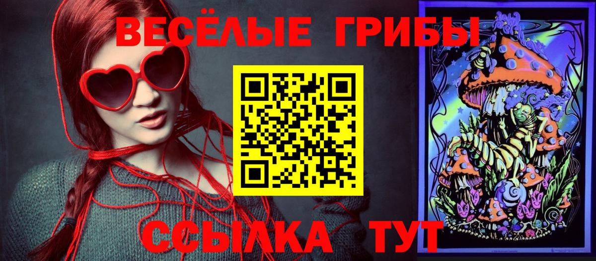 Галлюциногенные грибы Psilocybe Большой Камень