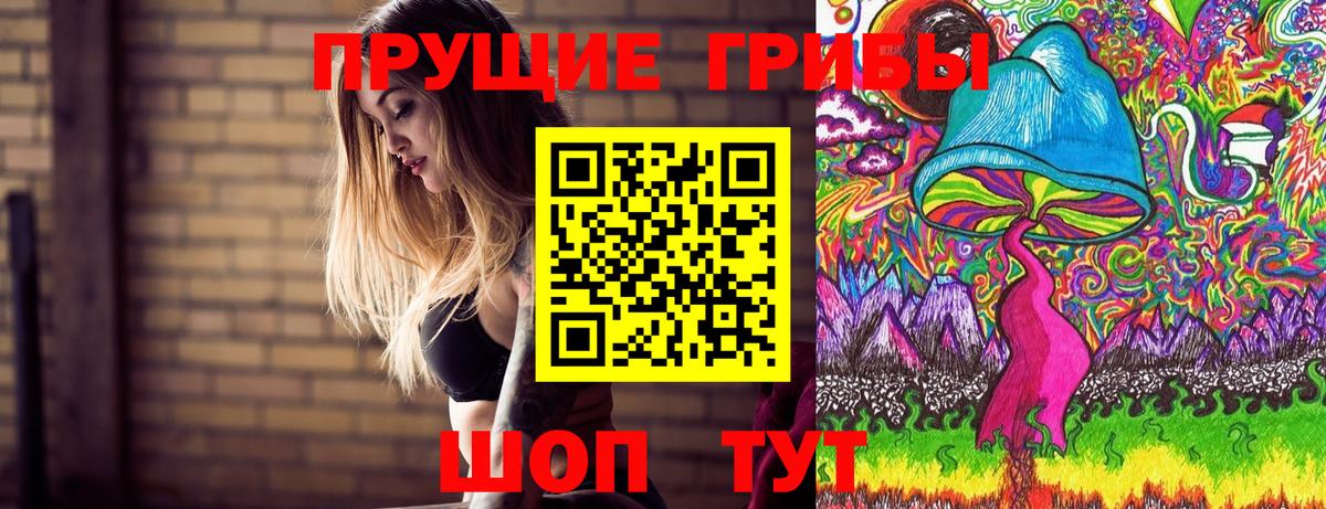 купить  цена  Псилоцибиновые грибы GOLDEN TEACHER  Большой Камень  Вход с VPN  Псилоцибиновые грибы Psilocybe 