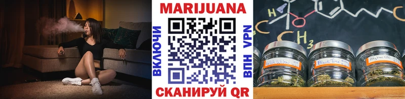 Канабис планчик  Большой Камень 